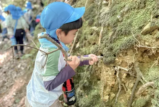苔むした斜面で自然に触れて遊ぶ子ども